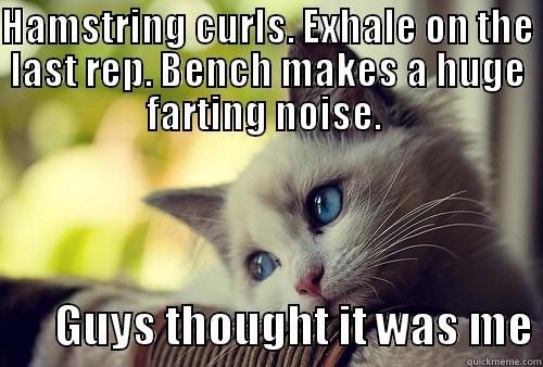 HAMSTRING CURLS. EXHALE ON THE LAST REP. BENCH MAKES A HUGE FARTING NOISE.         GUYS THOUGHT IT WAS ME First World Problems Cat