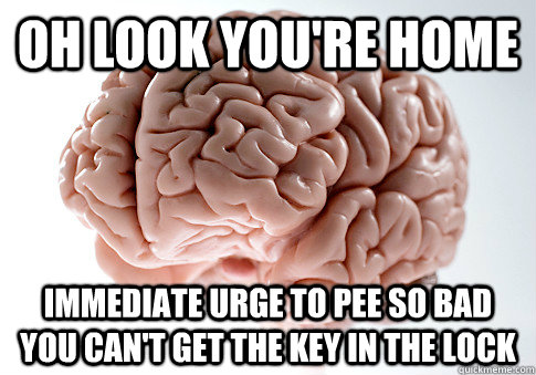 Oh look you're home  Immediate urge to pee so bad you can't get the key in the lock  ScumbagBrain