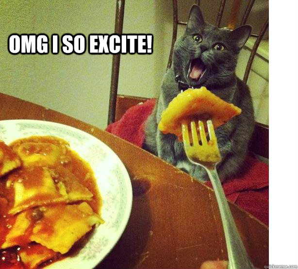 OMG I so excite! - OMG I so excite!  Excited Pasta Cat