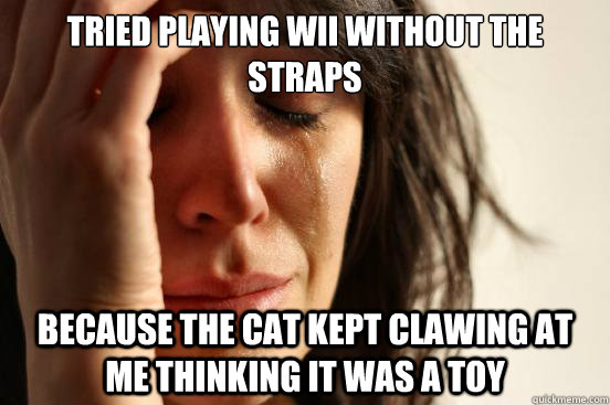 Tried Playing WII without the straps Because the cat kept clawing at me thinking it was a toy   FirstWorldProblems