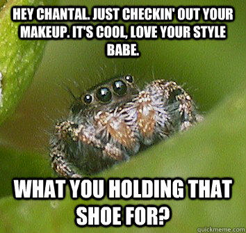 Hey Chantal. Just checkin' out your makeup. It's cool, love your style babe. What you holding that shoe for?  Misunderstood Spider