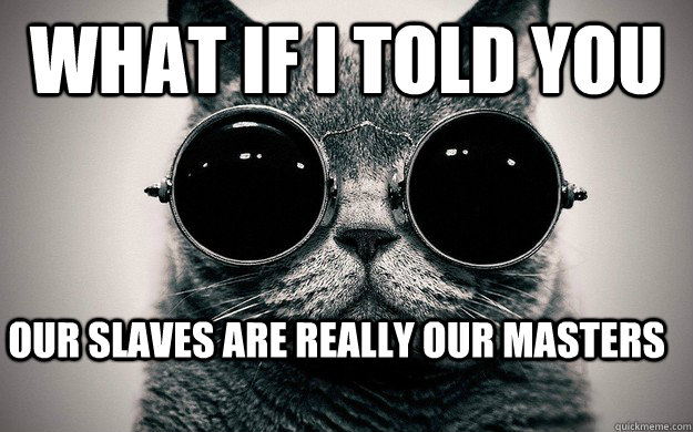 what if I told you Our slaves are really our masters  Morpheus Cat Facts