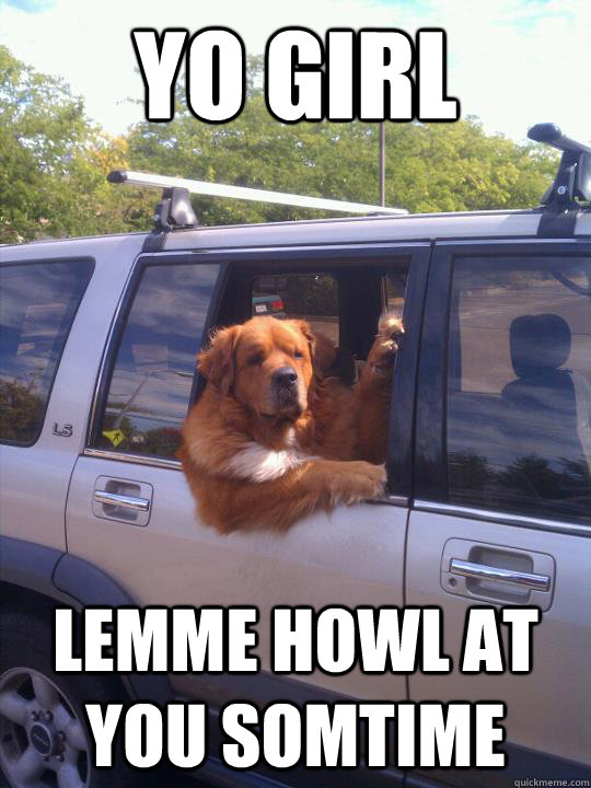 YO girl lemme howl at you somtime - YO girl lemme howl at you somtime  Gangster Dog