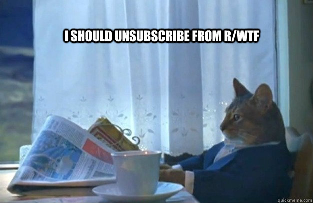 I should unsubscribe from r/WTF  Sophisticated Cat