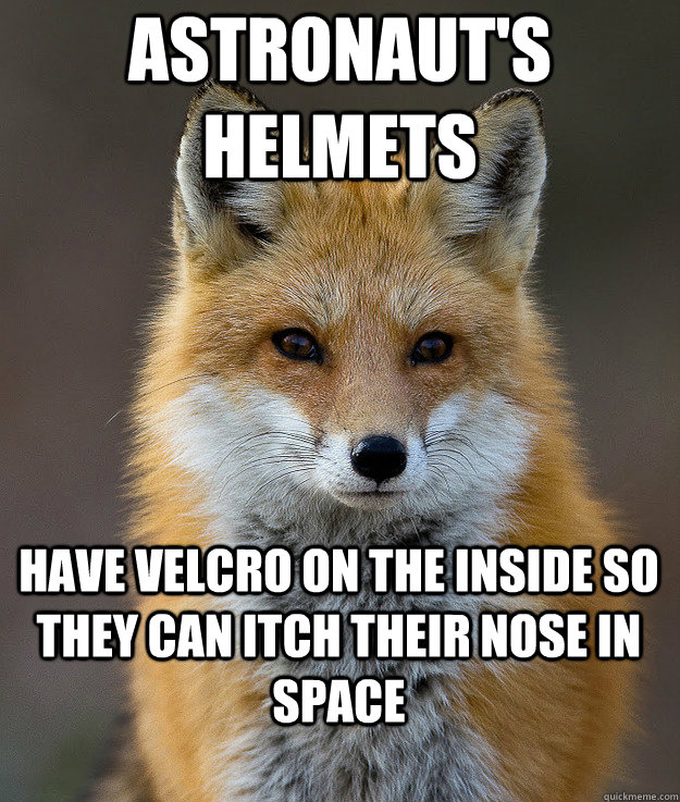 Astronaut's helmets have velcro on the inside so they can itch their nose in space  