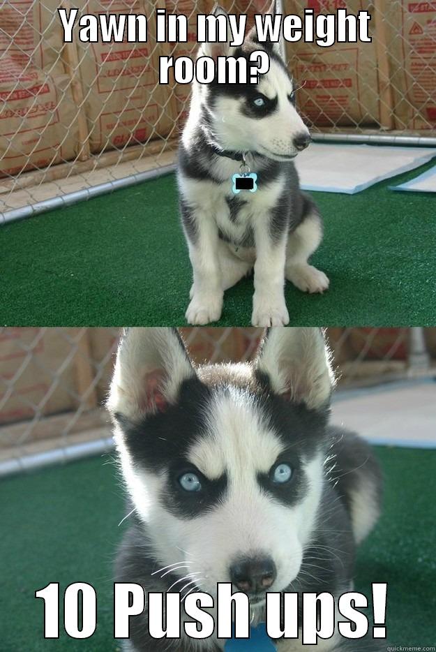 YAWN IN MY WEIGHT ROOM? 10 PUSH UPS! Insanity puppy