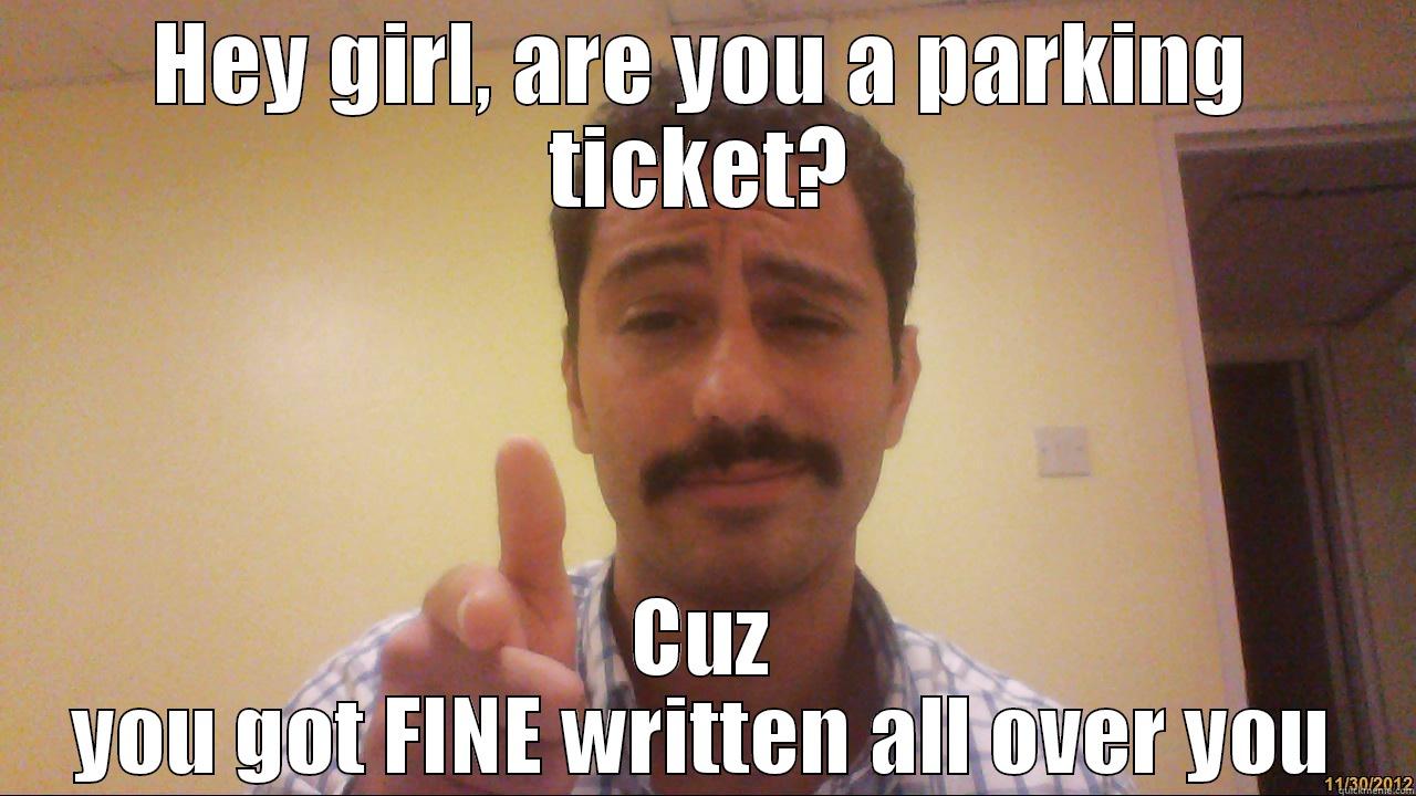 HEY GIRL, ARE YOU A PARKING TICKET? CUZ YOU GOT FINE WRITTEN ALL OVER YOU Misc
