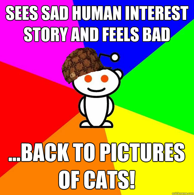 Sees sad human interest story and feels bad ...back to pictures of cats!  Scumbag Redditor
