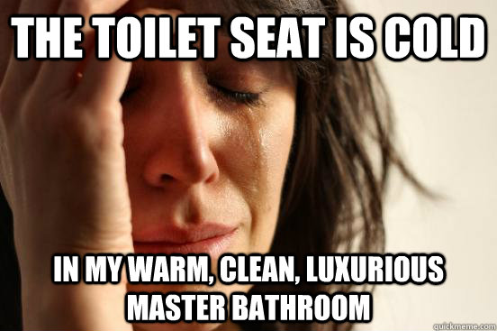 The toilet seat is cold in my warm, clean, luxurious master bathroom  First World Problems