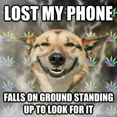 LOst my phone falls on ground standing up to look for it - LOst my phone falls on ground standing up to look for it  Stoner Dog