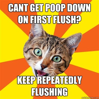 cant get poop down on first flush? keep repeatedly flushing  Bad Advice Cat