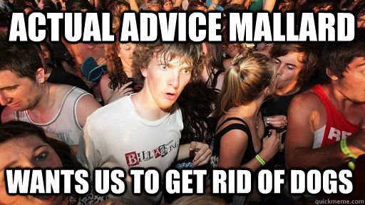 Actual Advice Mallard Wants us to get rid of dogs  Sudden Clarity Clarence