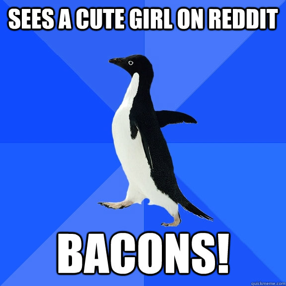 Sees a cute girl on reddit  BACONS!  Socially Awkward Penguin