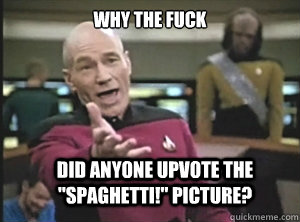 why the fuck did anyone upvote the 