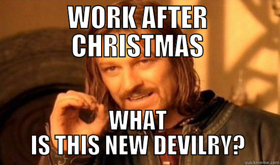 WORK AFTER CHRISTMAS WHAT IS THIS NEW DEVILRY? Boromir