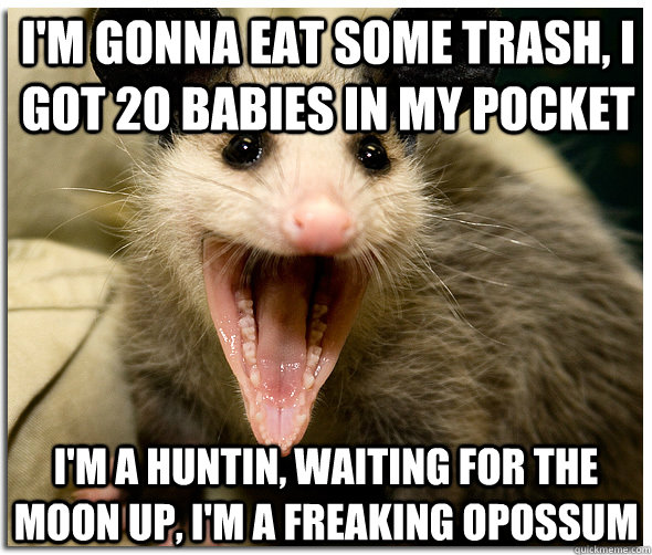 I'm gonna eat some trash, I got 20 babies in my pocket I'm a huntin, waiting for the moon up, I'm a freaking opossum - I'm gonna eat some trash, I got 20 babies in my pocket I'm a huntin, waiting for the moon up, I'm a freaking opossum  Awesome Possum