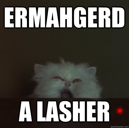 ermahgerd kitty memes | quickmeme
