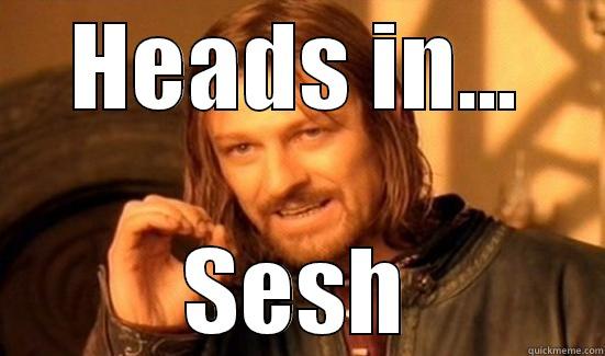 HEADS IN... SESH Boromir