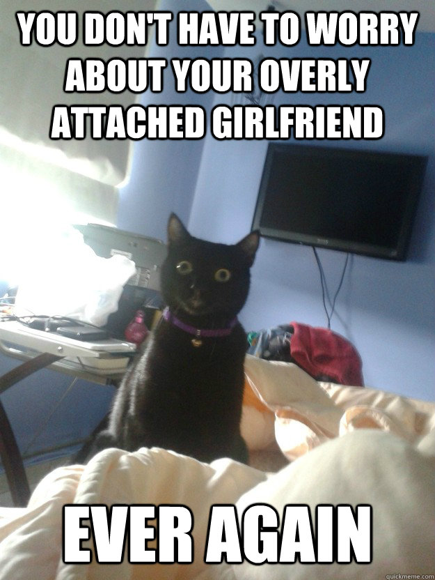 You don't have to worry about your overly attached girlfriend ever again  overly attached cat