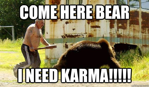 Come here bear I need Karma!!!!! - Come here bear I need Karma!!!!!  chasing confessions