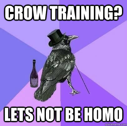 CROW TRAINING? LETS NOT BE HOMO  Rich Raven