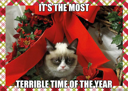 it's the most terrible time of the year  A Grumpy Cat Christmas