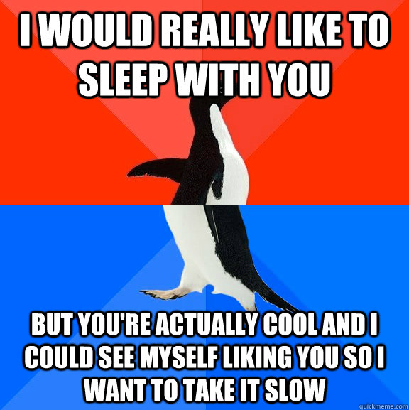i would really like to sleep with you but you're actually cool and i could see myself liking you so i want to take it slow  Socially Awesome Awkward Penguin