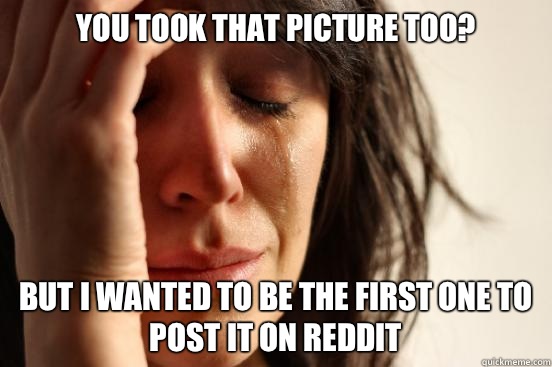 You took that picture too? But I wanted to be the first one to post it on reddit   First World Problems