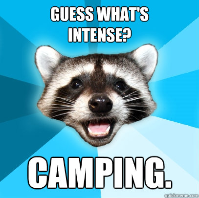 GUESS WHAT'S
INTENSE? CAMPING.  Lame Pun Coon