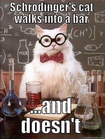 SCHRODINGER'S CAT WALKS INTO A BAR ...AND DOESN'T Chemistry Cat