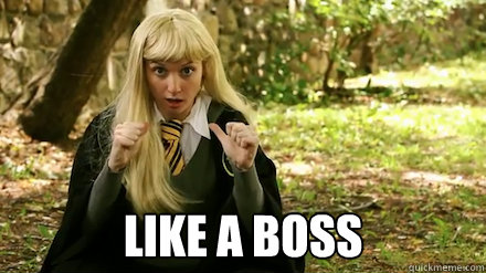  Like a Boss -  Like a Boss  Im a Hufflepuff!