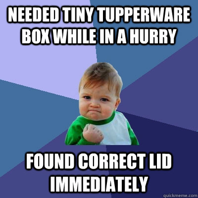 Needed tiny tupperware box while in a hurry Found correct lid immediately - Needed tiny tupperware box while in a hurry Found correct lid immediately  Success Kid