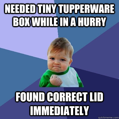 Needed tiny tupperware box while in a hurry Found correct lid immediately  Success Kid
