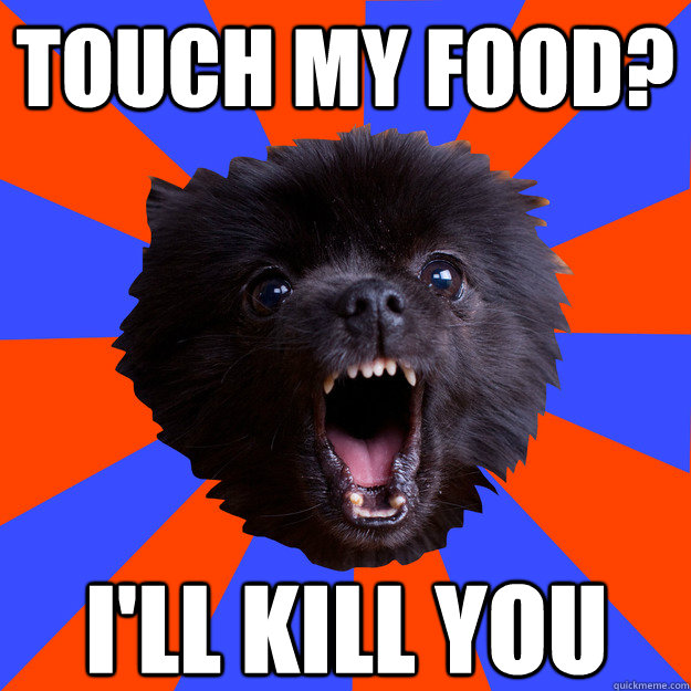 Touch my food? I'll KILL YOU - Touch my food? I'll KILL YOU  rage puppy