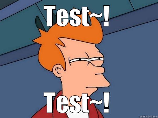 TEST~! TEST~! Futurama Fry