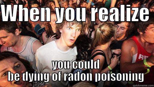 WHEN YOU REALIZE  YOU COULD BE DYING OF RADON POISONING Sudden Clarity Clarence