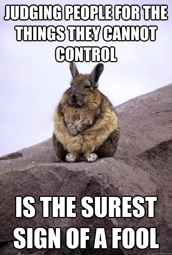 Judging people for the things they cannot control is the surest sign of a fool  Wise Wondering Viscacha