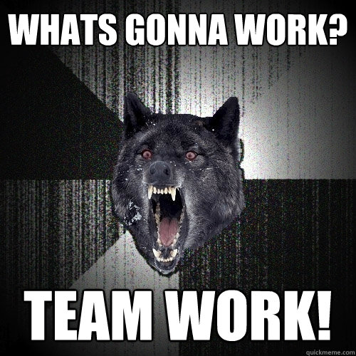 whats gonna work? team work!  Insanity Wolf
