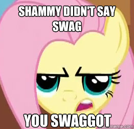 shammy didn't say swag you swaggot  Swaggots
