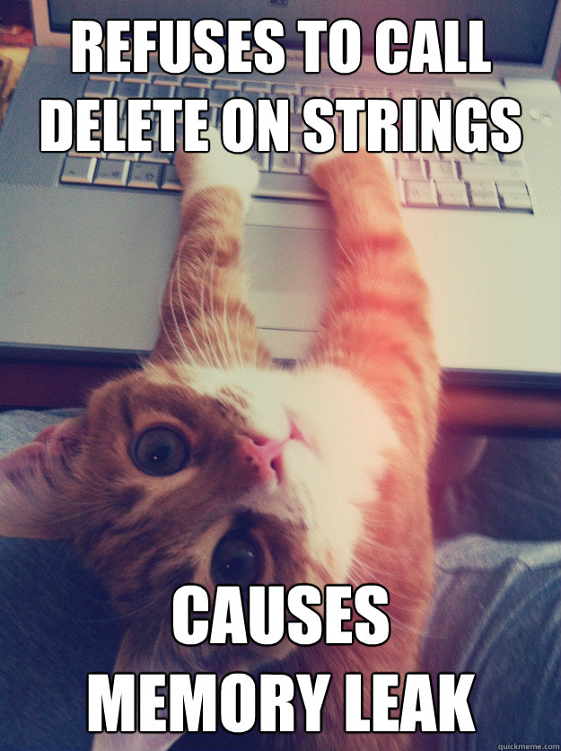 refuses to call delete on strings causes
memory leak - refuses to call delete on strings causes
memory leak  Programmer Cat