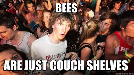 BEES
 Are just couch shelves  Sudden Clarity Clarence