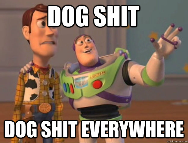 Dog shit dog shit everywhere  toystory everywhere