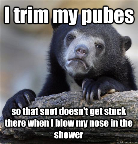 I trim my pubes  so that snot doesn't get stuck there when I blow my nose in the shower  Confession Bear