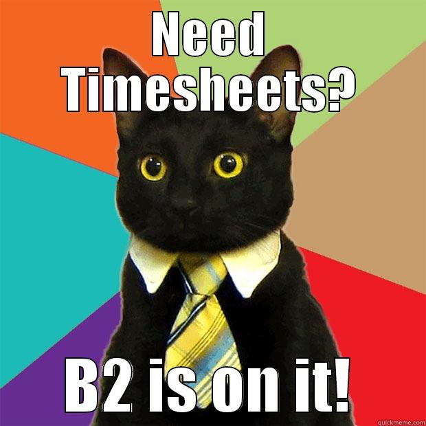 NEED TIMESHEETS? B2 IS ON IT! Business Cat