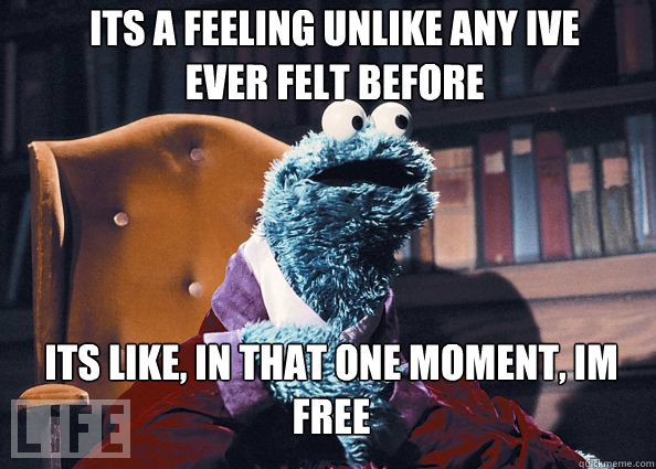 Its a feeling unlike any ive ever felt before Its like, in that one moment, Im free  Cookieman