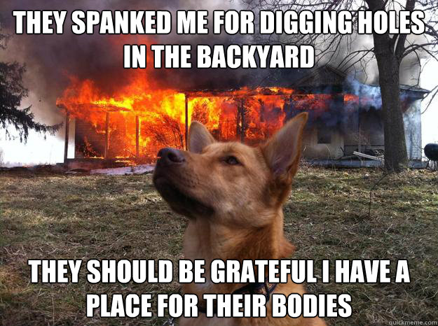 THEY SPANKED ME FOR DIGGING HOLES IN THE BACKYARD THEY SHOULD BE GRATEFUL I HAVE A PLACE FOR THEIR BODIES  Bad Dog