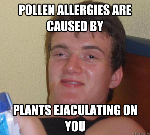 Pollen Allergies Are caused by Plants ejaculating on you  10 Guy