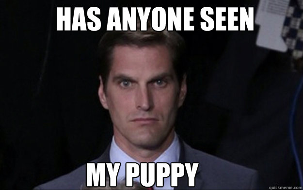 Has anyone seen my puppy  