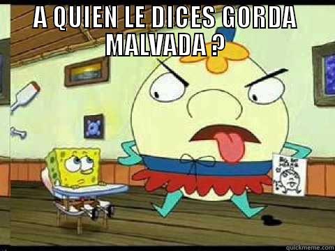 A QUIEN LE DICES GORDA MALVADA ?  Misc