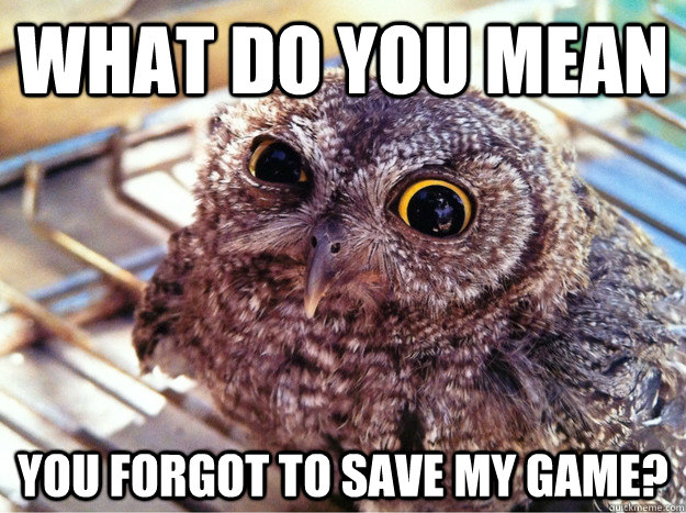 What Do you mean you forgot to save my game? - What Do you mean you forgot to save my game?  Irritated Owl